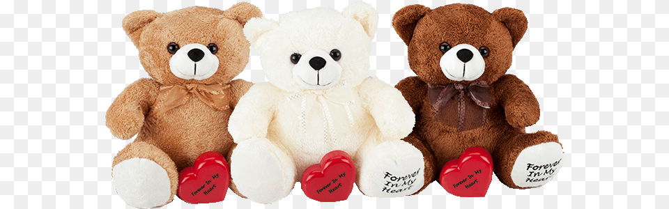 Huggable Teddy Bear Cremation Urn Teddy Bear Urns, Teddy Bear, Toy, Plush Free Png