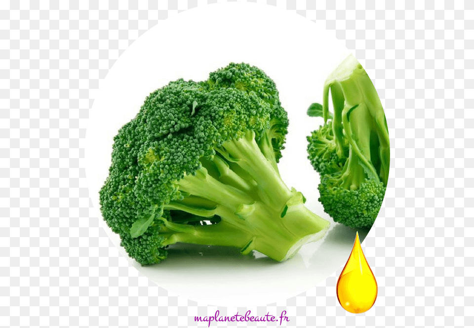 Huile De Brocoli Example Of Bitter Food, Broccoli, Plant, Produce, Vegetable Free Png Download