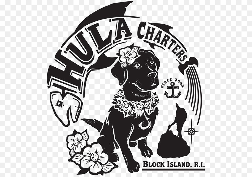Hula Charters Longdog, Adult, Wedding, Person, Mammal Free Transparent Png