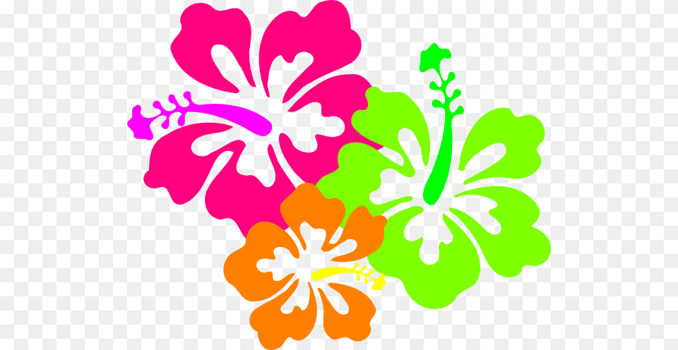 Hula Clipart, Flower, Hibiscus, Plant Png Image
