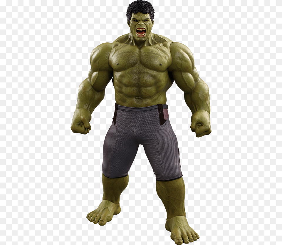 Hulk, Adult, Male, Man, Person Png