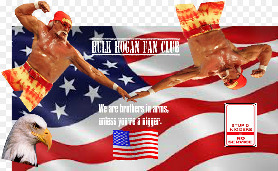 Hulk Hogan Wwe Hulk Hogan Wwe, Flag, American Flag, Man, Male Png