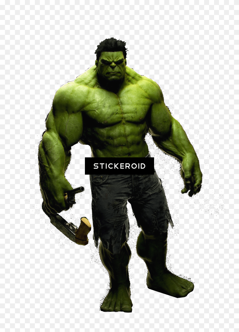 Hulk Pic Stan Lee Signed The Hulk 11x14 Photo Marvel Comics, Adult, Male, Man, Person Free Transparent Png