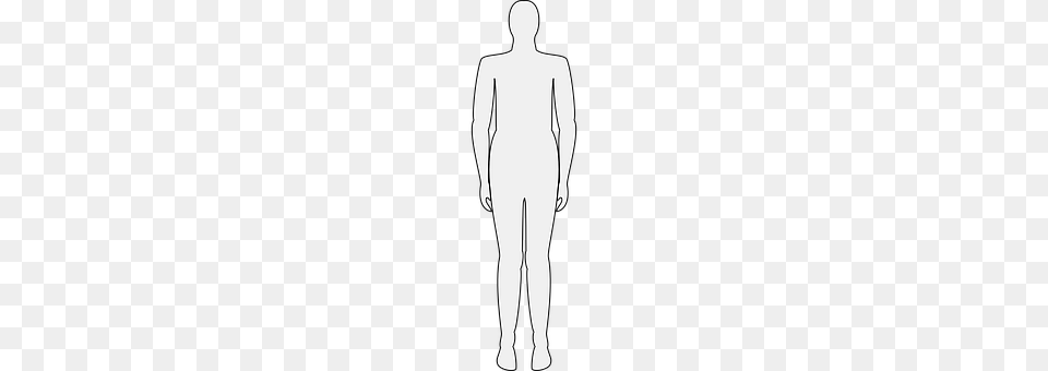 Human Silhouette, Clothing, Pants, Adult Png