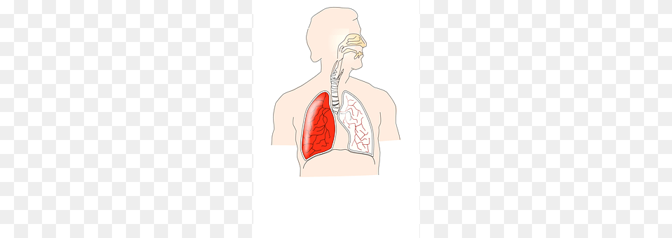 Human Body Part, Face, Head, Neck Png