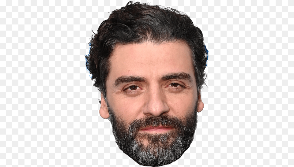 Human, Adult, Beard, Face, Head Free Png