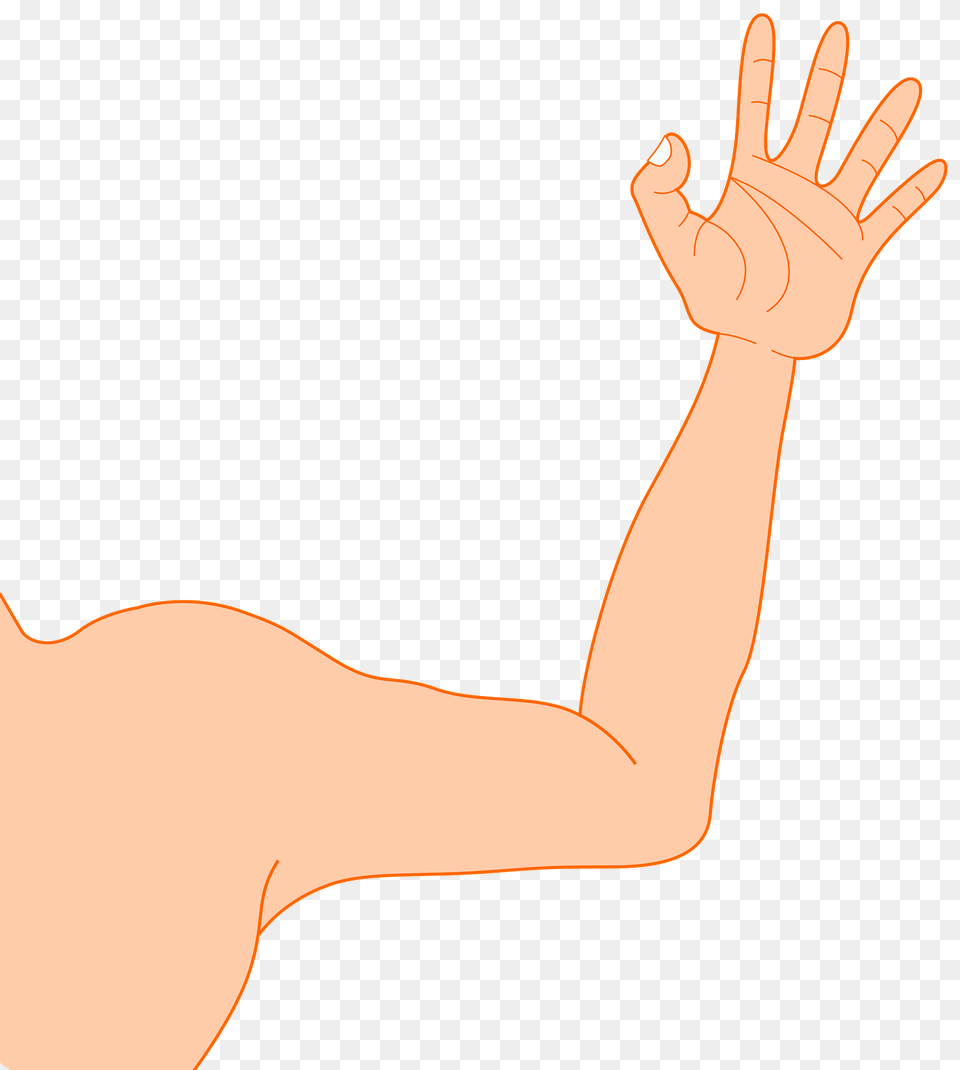 Human Arm Clipart, Body Part, Person, Clothing, Glove Png Image