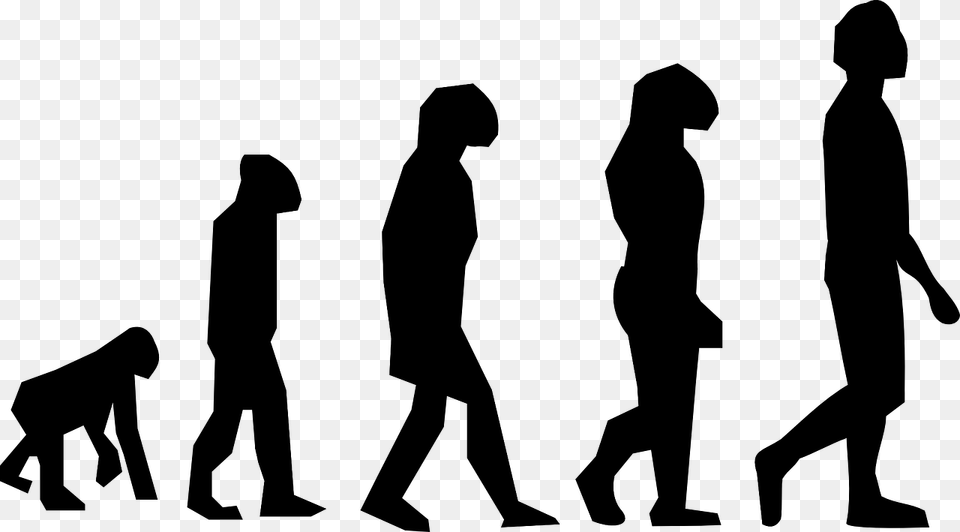 Human Beings Early Human Evolution, Gray Free Png