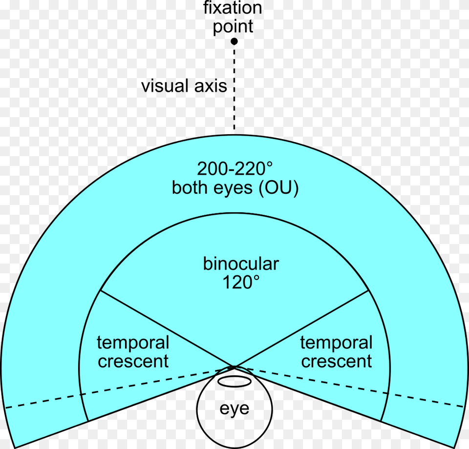 Human Binocular Field Of View, Disk, Chart Free Png