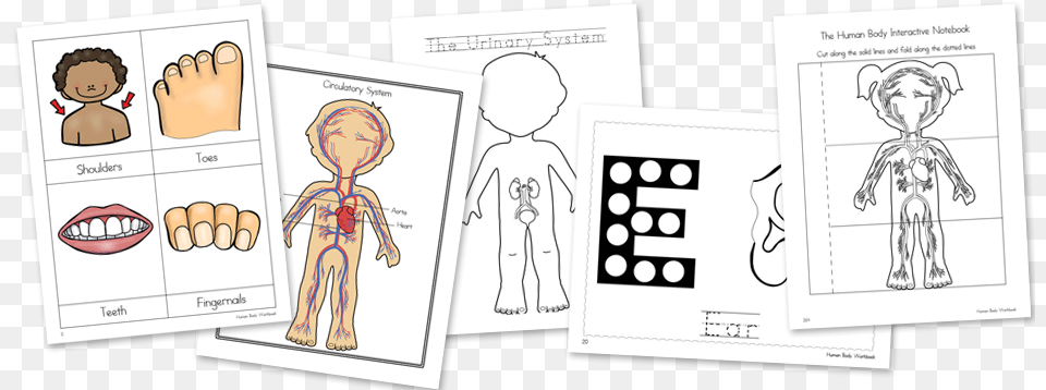 Human Body Activities Cartoon, Book, Comics, Publication, Baby Free Transparent Png