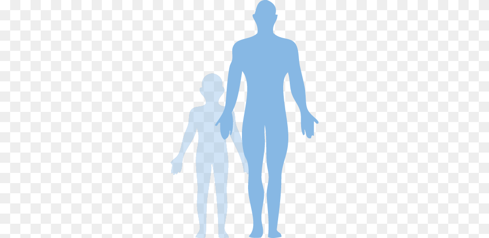 Human Body Body Of Human, Adult, Male, Man, Person Free Png