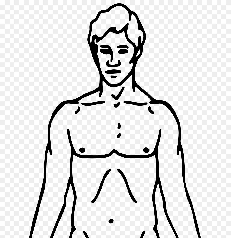 Human Body Clip Art, Gray Free Png