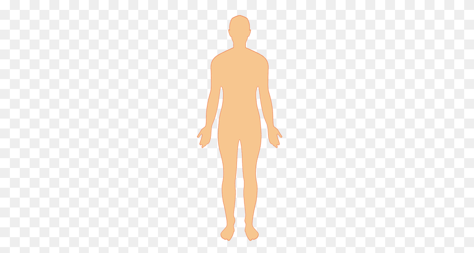 Human Body Man, Back, Body Part, Person, Adult Free Png Download