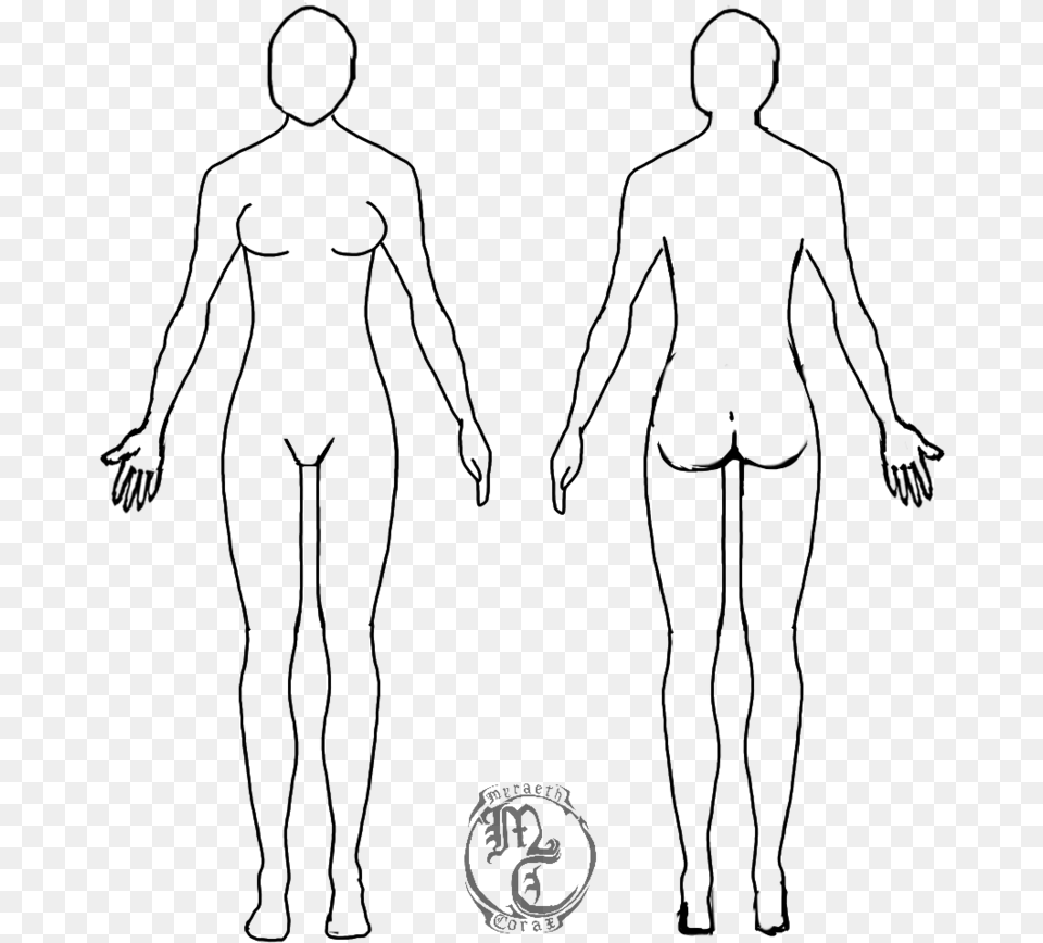 Human Body Outline Human Body Outline Female, Gray Free Png