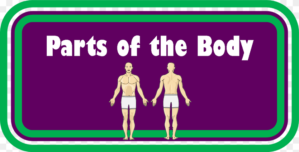 Human Body Parts Human Body, Shorts, Clothing, Adult, Person Free Png