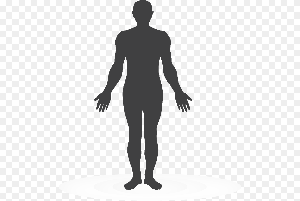 Human Body Royalty Cerebral Palsy Topographic Classification, Silhouette, Adult, Male, Man Free Transparent Png