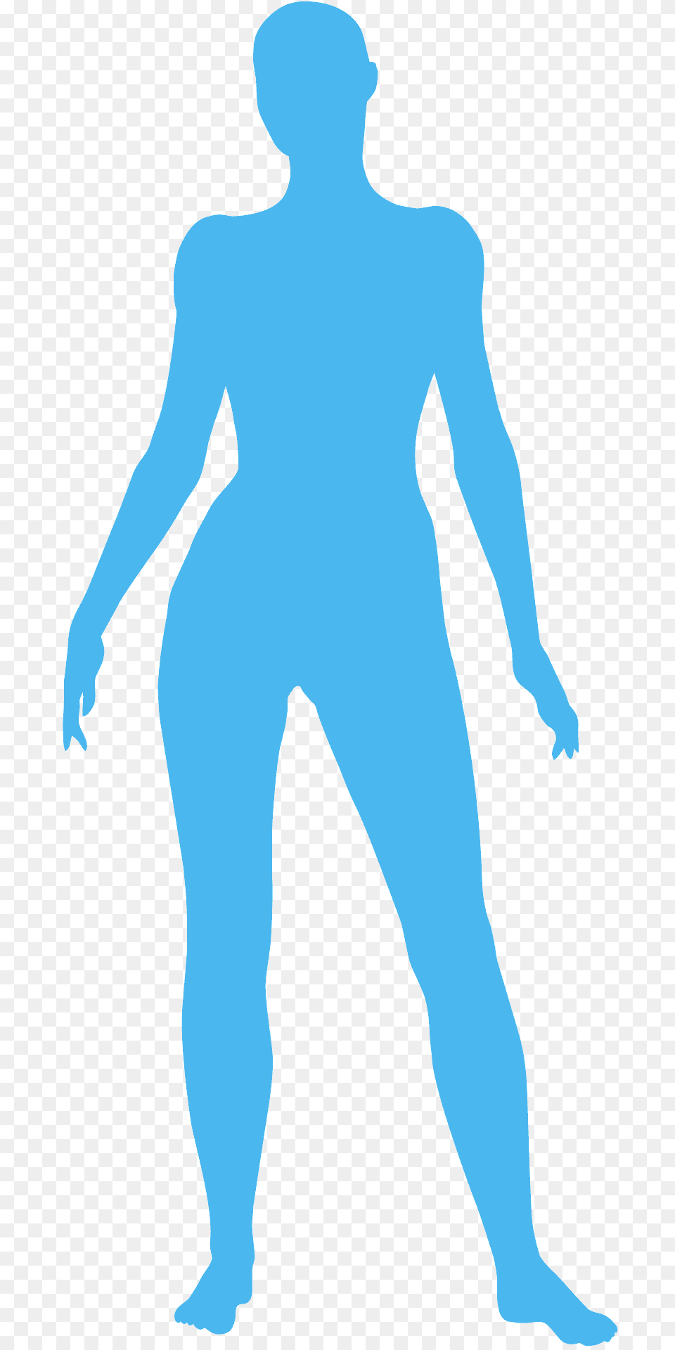 Human Body Silhouette, Adult, Male, Man, Person Free Transparent Png