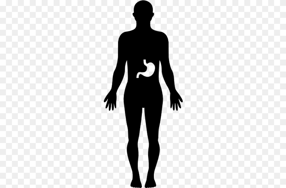 Human Body Silhouette, Gray Free Png Download