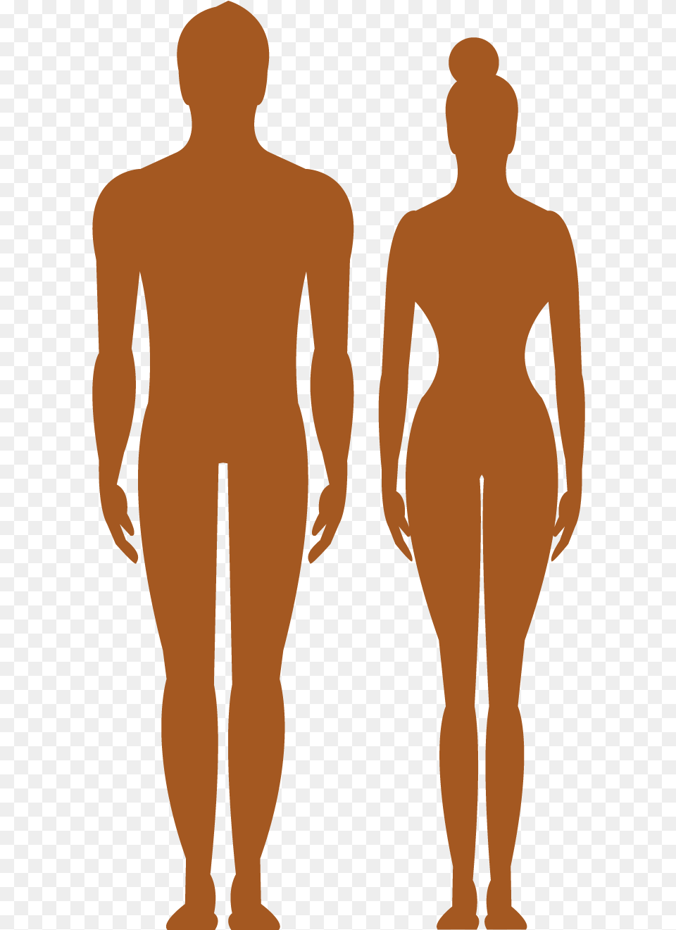 Human Body Silhouette Clip Art Ejercicios Fitness En Casa, Adult, Male, Man, Person Png Image