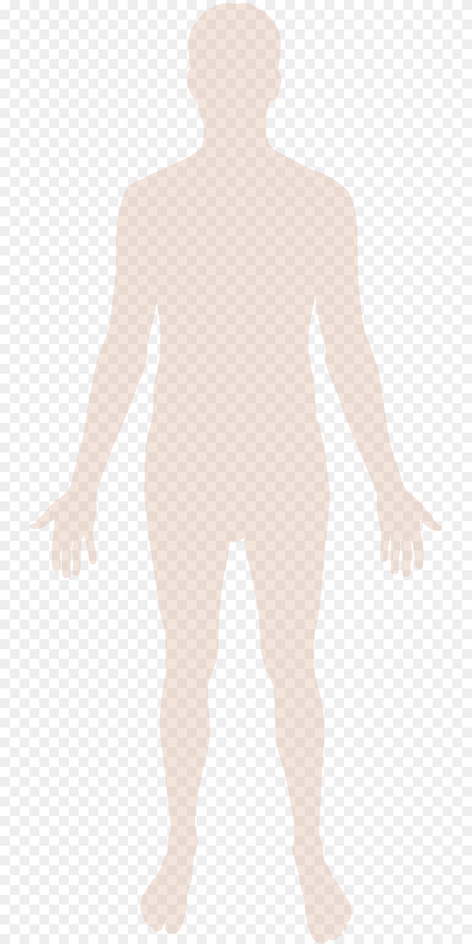 Human Body Silhouette Clipart, Adult, Male, Man, Person Png Image