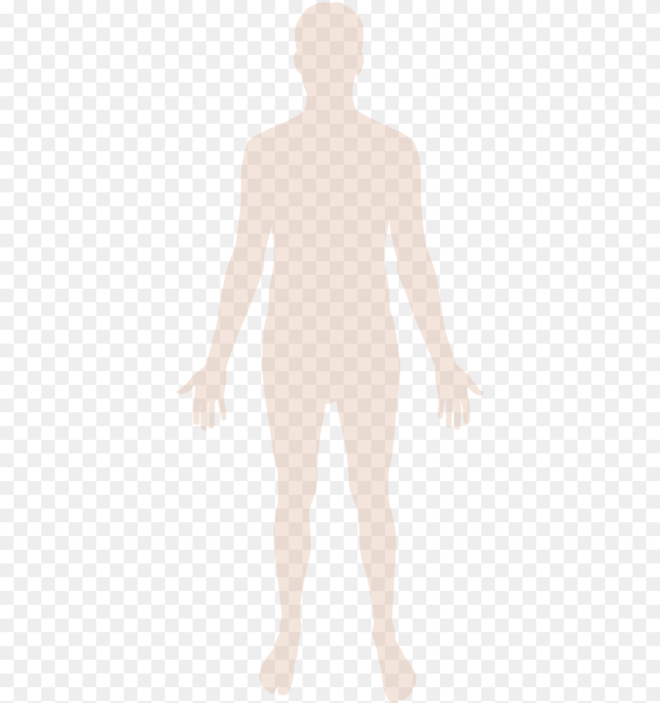 Human Body Silhouette Svg, Adult, Male, Man, Person Free Transparent Png
