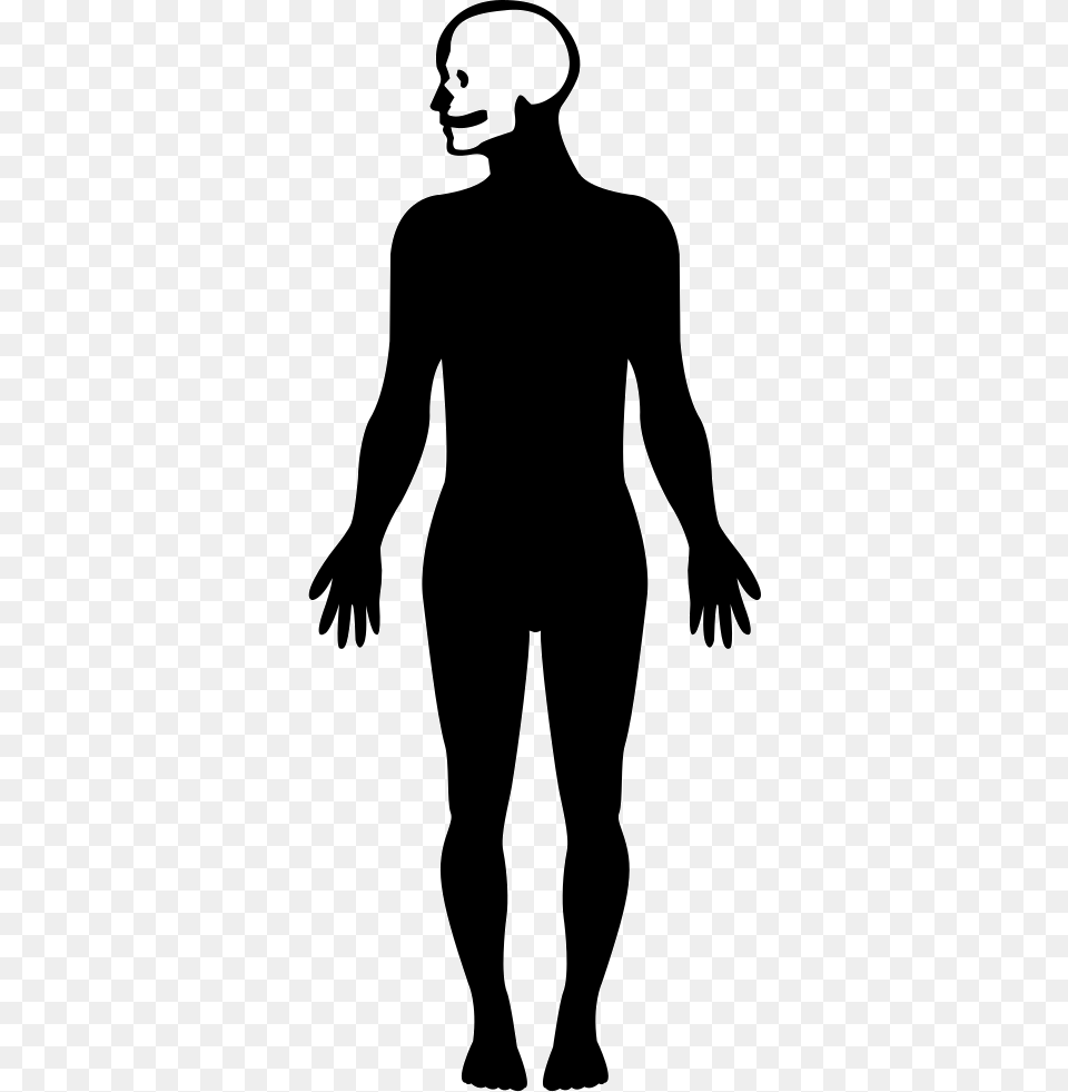 Human Body Silhouette With Focus On The Head Human Body Shape, Adult, Male, Man, Person Free Png