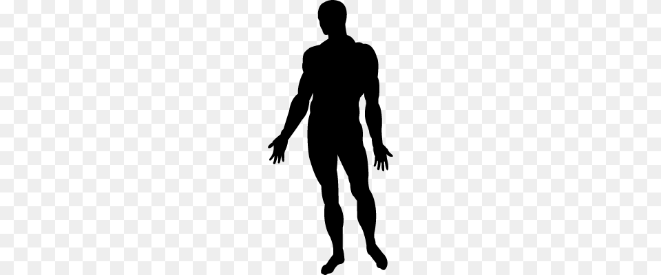 Human Body Standing Black Silhouette Vectors Logos Icons, Gray Png