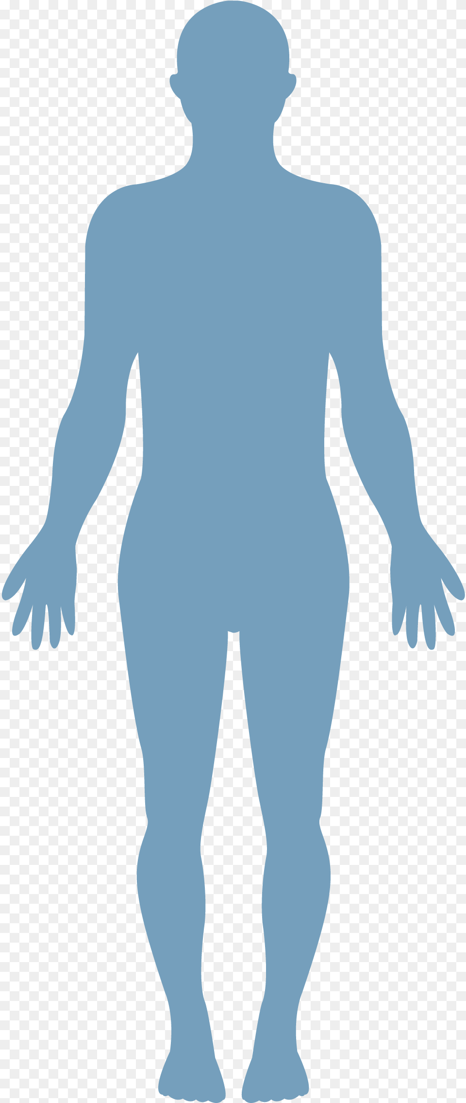 Human Body Vector Transparent Healthy Body, Silhouette, Adult, Male, Man Free Png Download