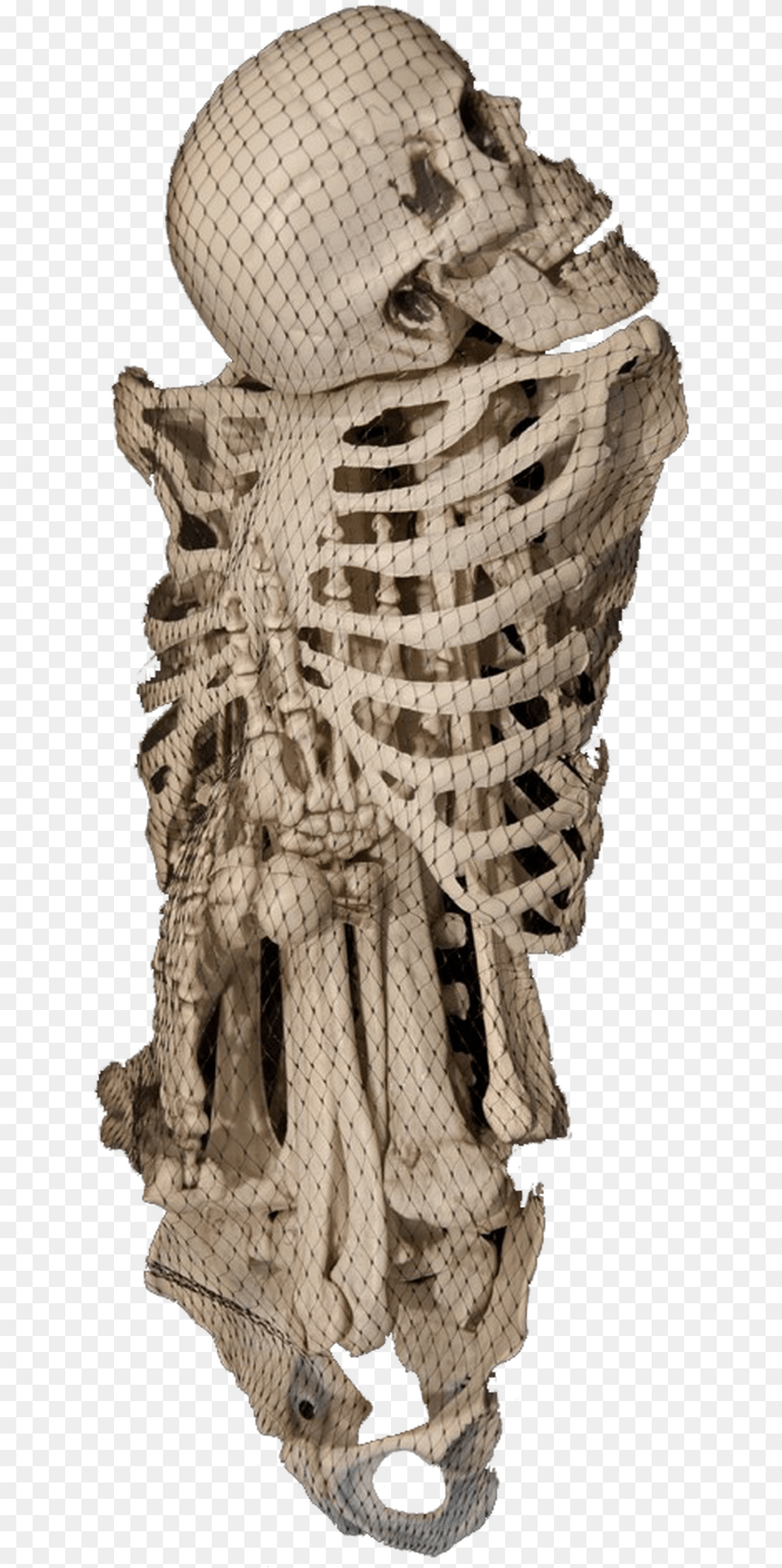 Human Bones Crochet, Clothing, Hat, Baby, Person Free Transparent Png