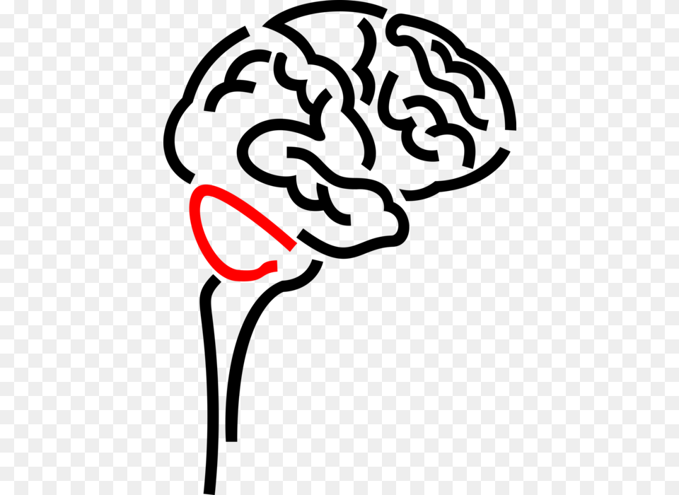 Human Brain, Light Free Transparent Png