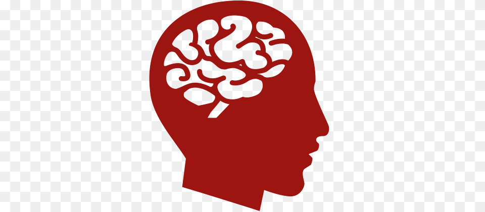 Human Brain, Adult, Female, Person, Woman Free Transparent Png