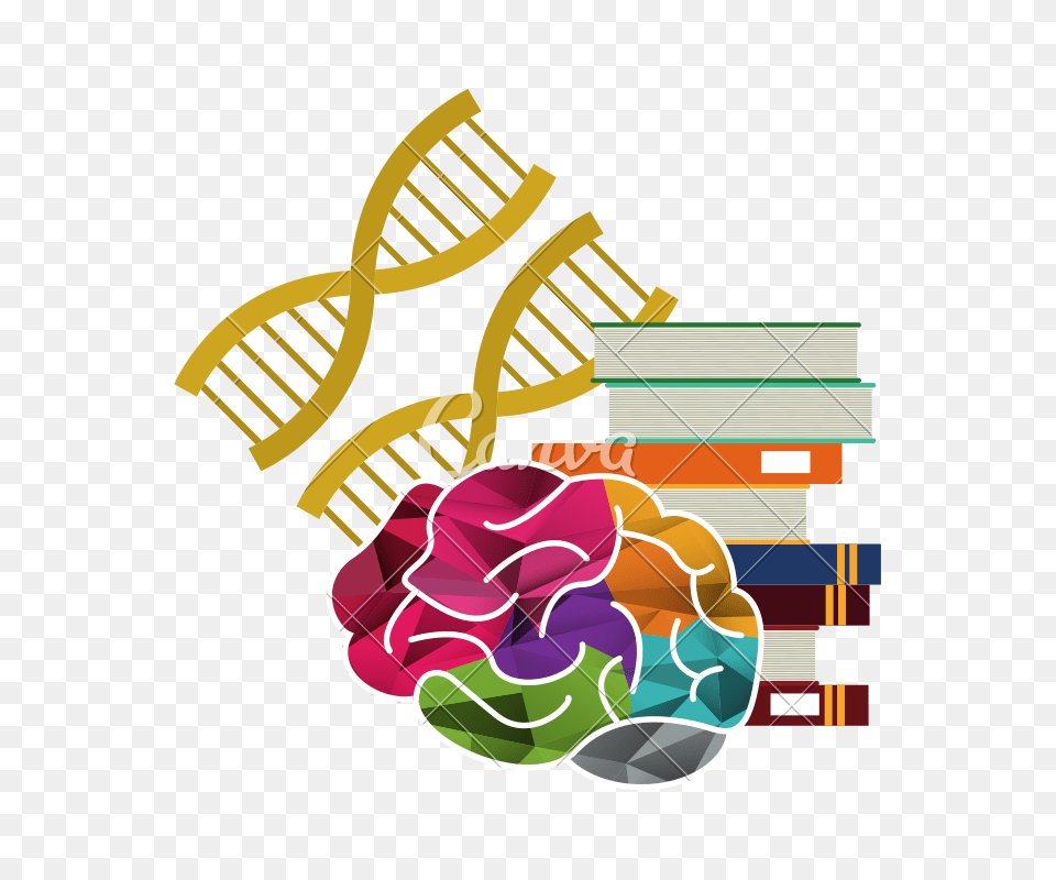 Human Brain And Books With Dna Strands Icon Image, Art, Graphics, Dynamite, Weapon Png