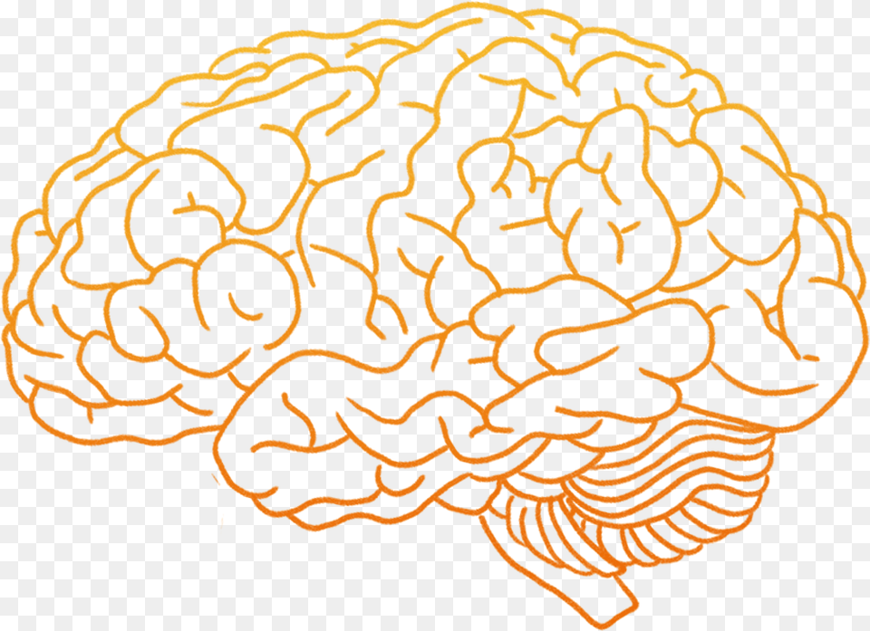 Human Brain Clip Art Human Brain Brain, Animal, Water, Sea Life, Sea Free Png