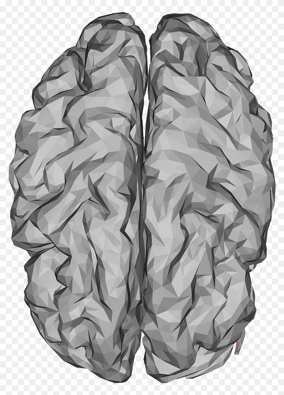 Human Brain Clipart, Adult, Male, Man, Person Free Png