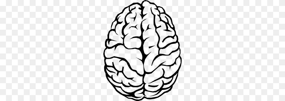 Human Brain Drawing, Gray Free Png Download