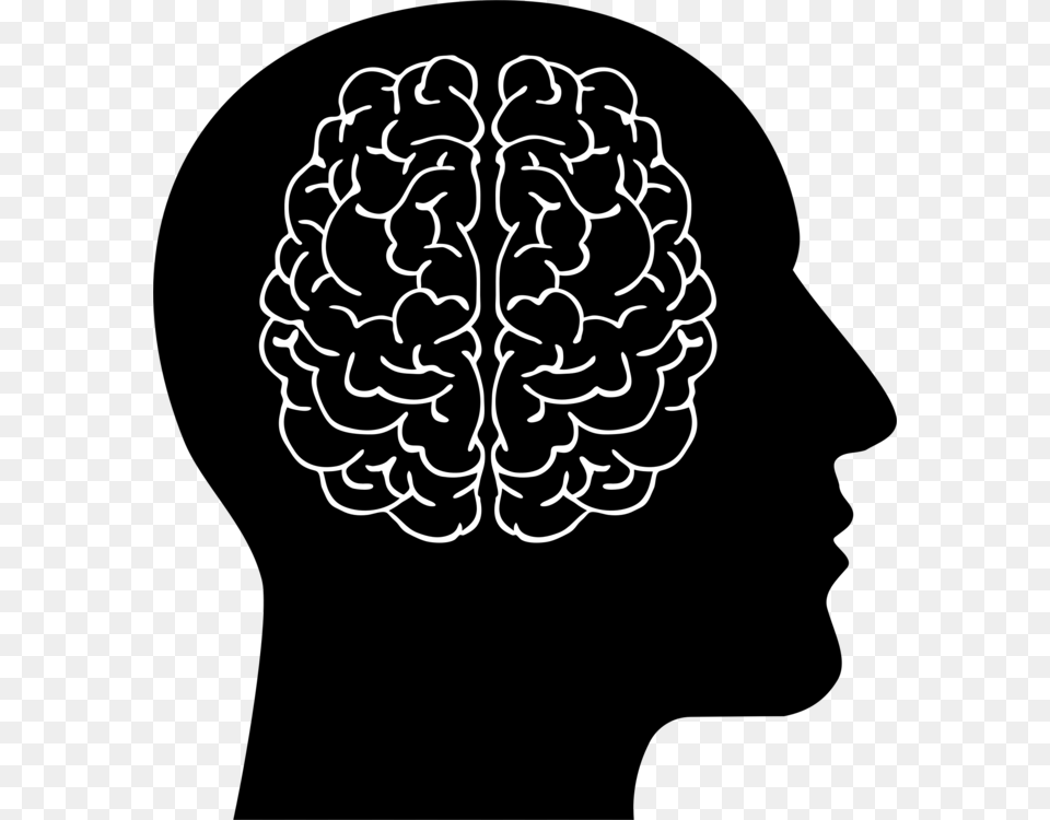 Human Brain Head Computer Human And Brain Clipart, Stencil, Person Free Png Download