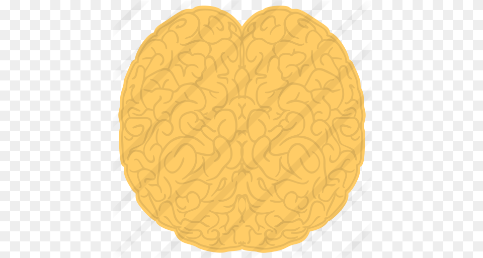 Human Brain Heart, Food, Sweets Free Png Download