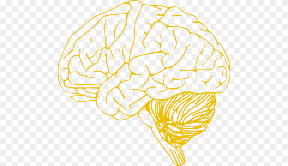 Human Brain Icon Left Hemisphere Of Brain Outline, Art, Pattern Png
