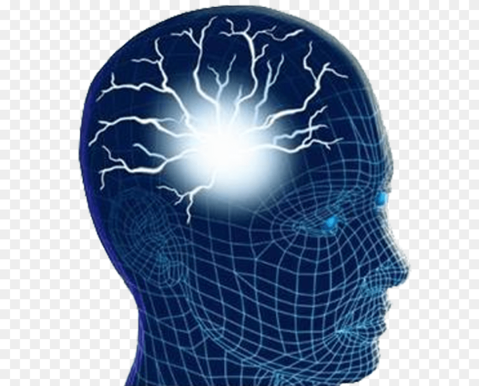 Human Brain Image Human Brain Png