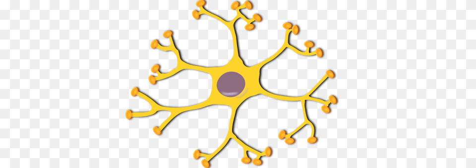 Human Brain Neuron Nervous System, Accessories, Plant, Pollen, Pattern Png