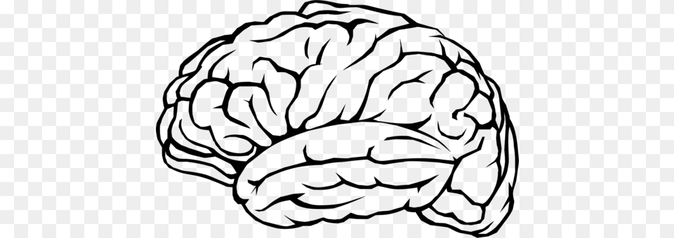 Human Brain The Athletic Brain Silhouette Drawing, Gray Png Image