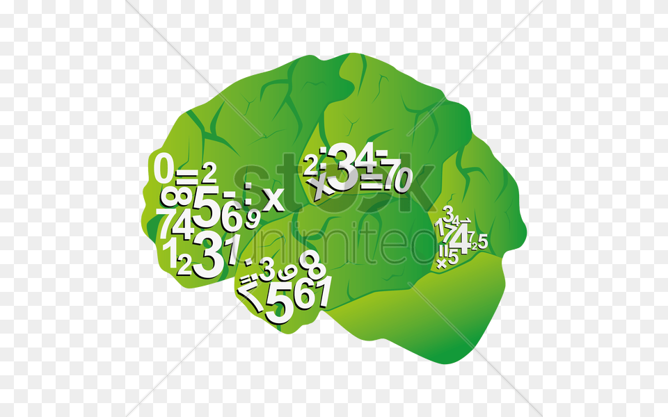 Human Brain Vector, Food, Produce, Leafy Green Vegetable, Plant Free Transparent Png