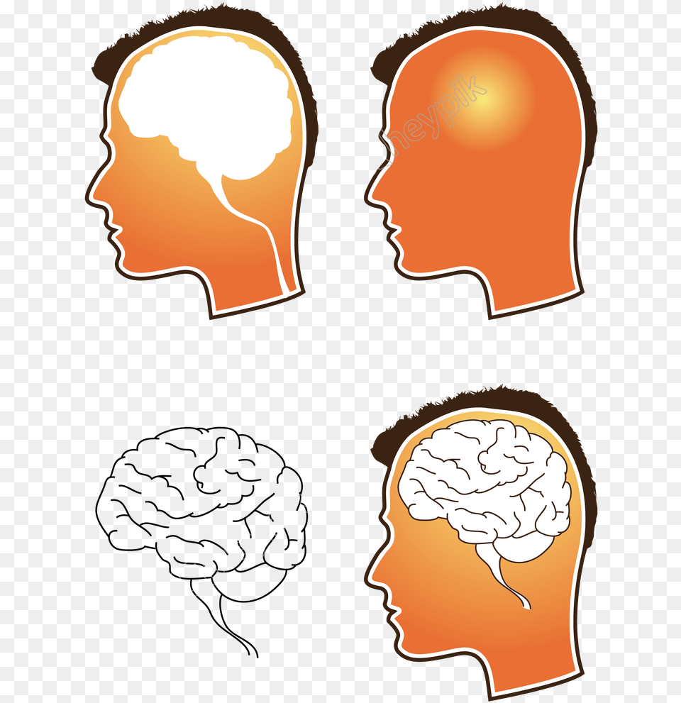 Human Brain Vector Brain, Body Part, Face, Head, Neck Free Png Download