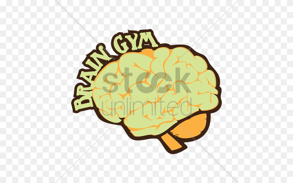 Human Brain With Brain Gym Words Vector Graphic Clipart, Food, Produce, Nut, Plant Free Transparent Png