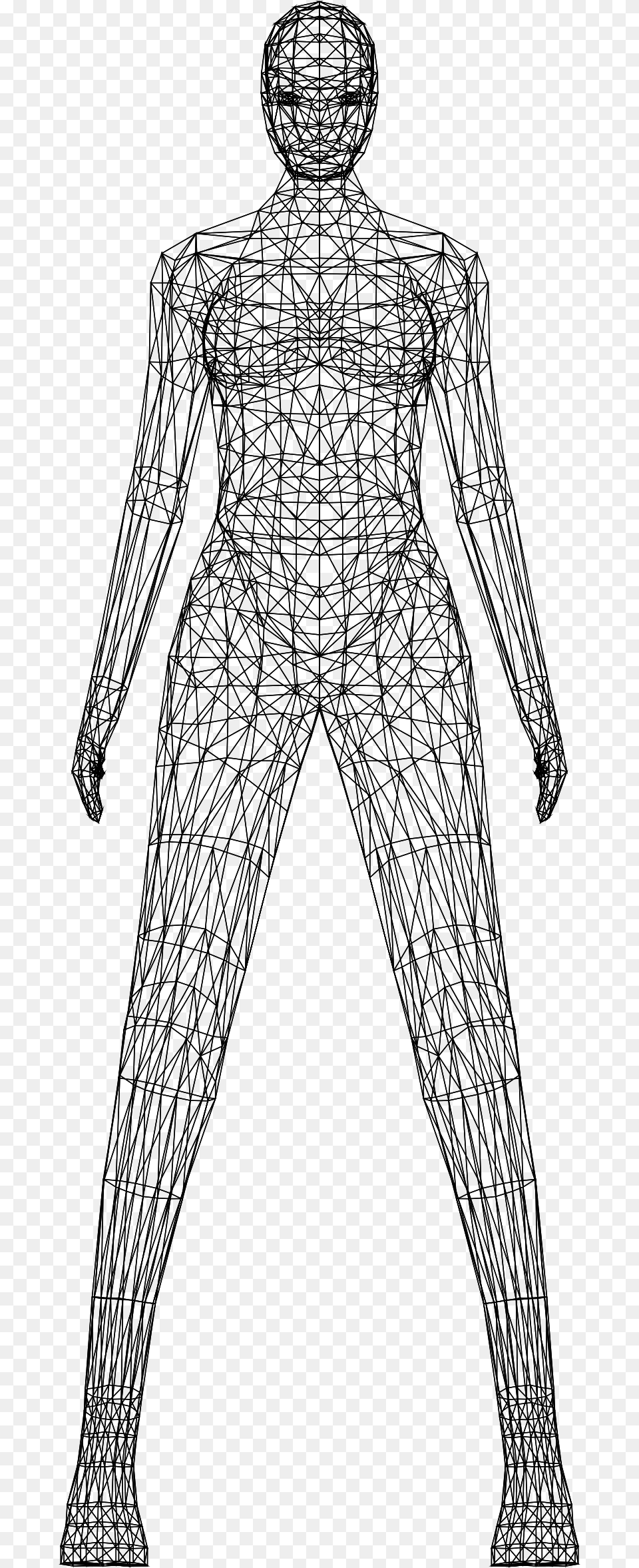 Human Clipart Wireframe Female Body Low Poly Wireframe, Gray Png