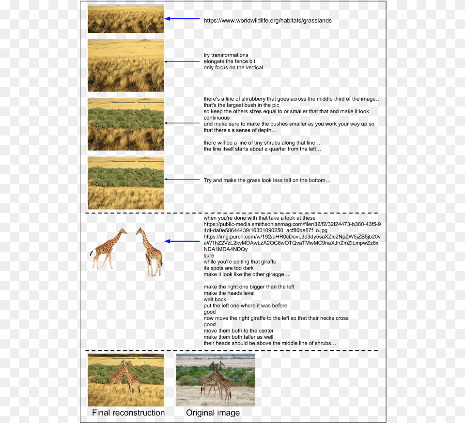 Human Compression Process For The Giraffe Image Giraffe, Animal, Antelope, Impala, Mammal Free Png Download