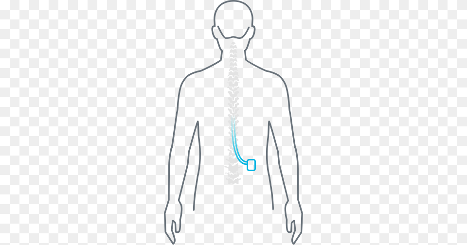 Human Diagram Nevro Spinal Cord, Adult, Male, Man, Person Png