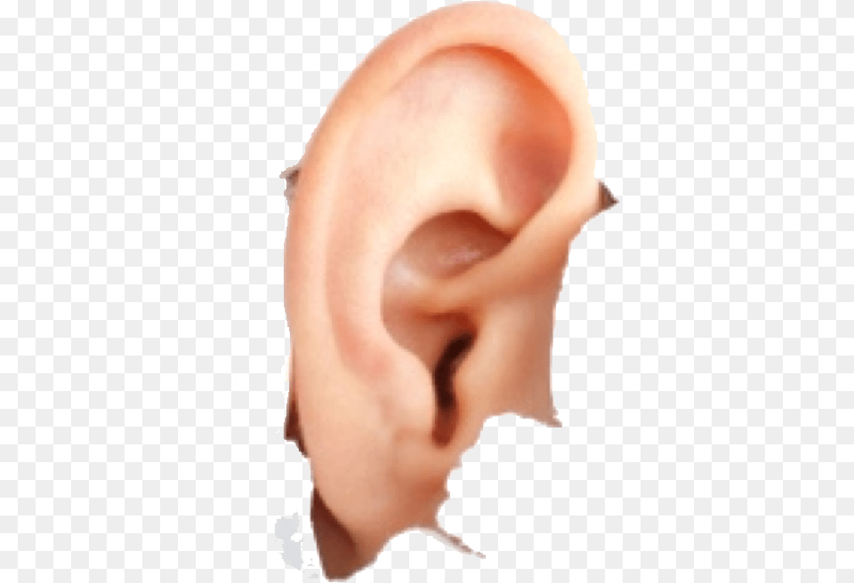 Human Ear Image For Download Does Hyperacusis Look Like, Body Part, Baby, Person Free Transparent Png