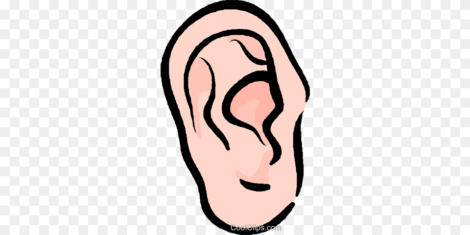 Human Ear Royalty Vector Clip Art Illustration, Body Part, Person Png