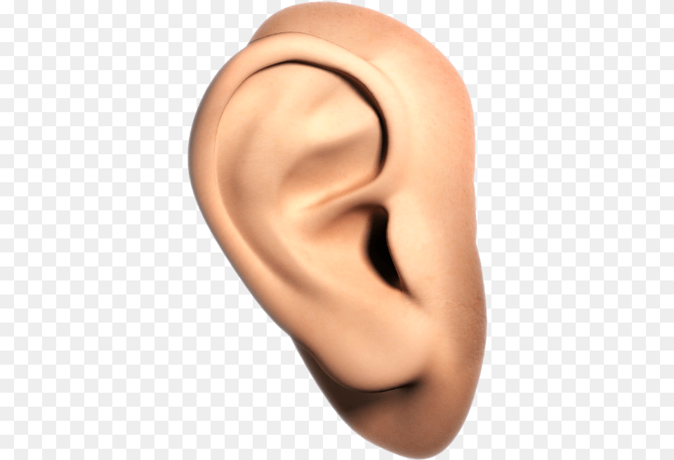 Human Ear Transparent Background, Body Part, Adult, Female, Person Free Png Download